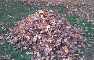 avoid-piles