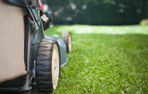 keep-vegetation-trimmed