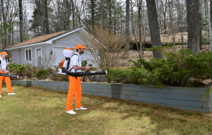 mosquito-control-faqs