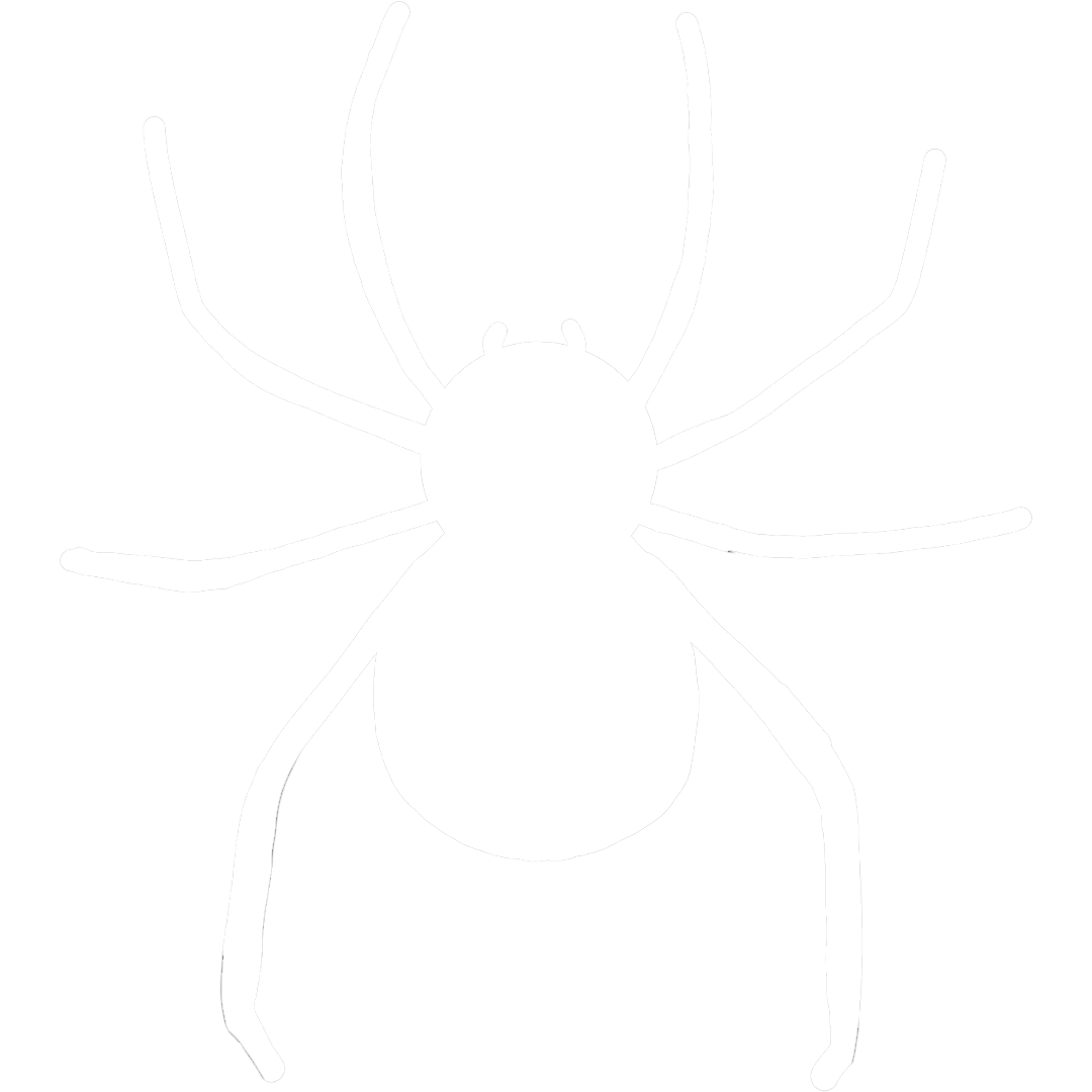 Spider-Control-Icon