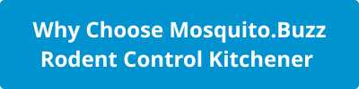 Why Choose Mosquito.Buzz Rodent Control Kitchener (1)