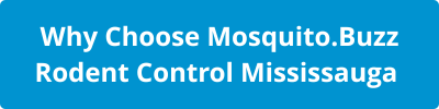 Why Choose Mosquito.Buzz Rodent Control Mississauga 