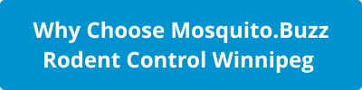 Why Choose Mosquito.Buzz Rodent Control Winnipeg