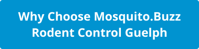 Why Choose Mosquito.Buzz Rodent Control guelph